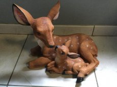 bambi met kindje