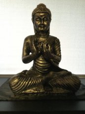 onderwijzende boeddha
