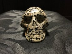 schedel dalmatier jaspis