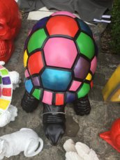 schildpad groot multicolor