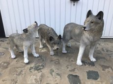set van 3 wolven