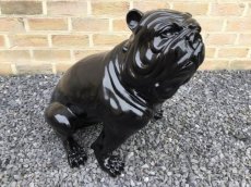 zwarte zittende bulldog